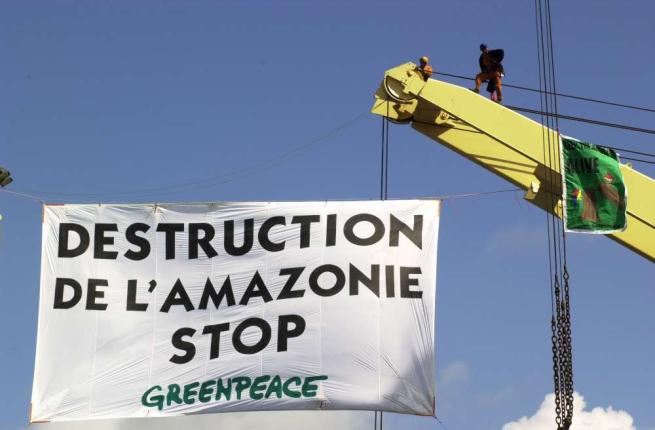 Legno illegale importato dall'Amazzonia: la denuncia di Greenpeace
