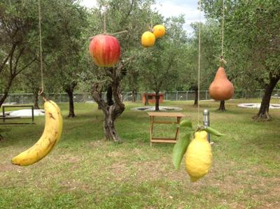 Frutta urbana, il progetto del Comune di Roma per mappare e raccogliere la frutta che cresce in città